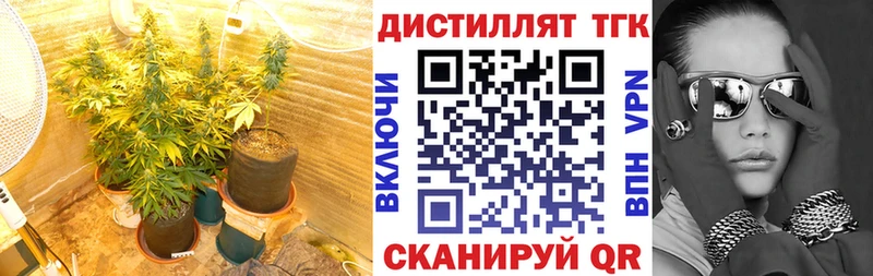 Дистиллят ТГК Wax  цена   Березники 