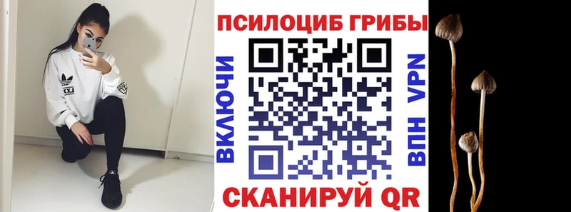 Галлюциногенные грибы MAGIC MUSHROOMS  Березники 