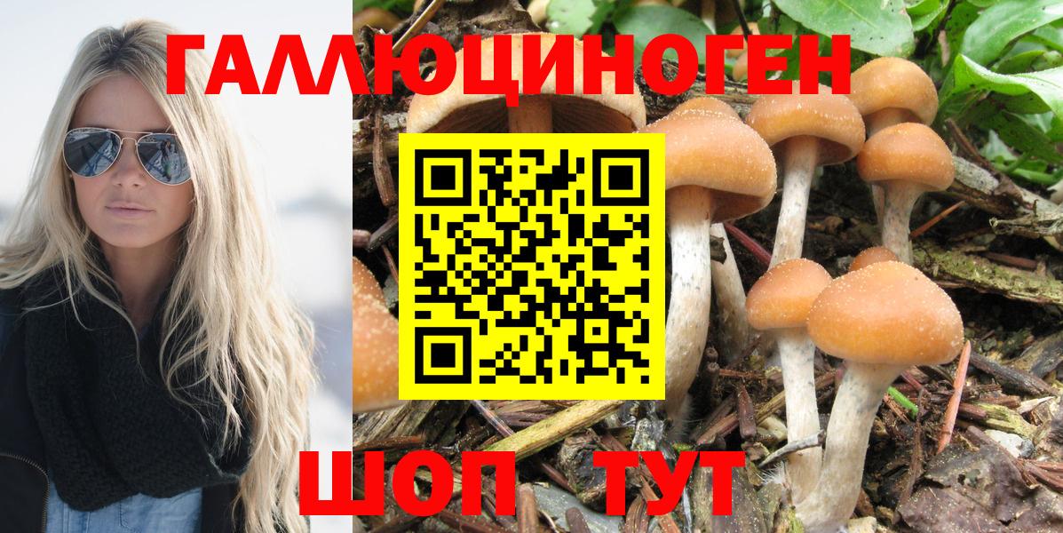 купить  сайты  Псилоцибиновые грибы Psilocybe  Вход с VPN  Псилоцибиновые грибы Magic Shrooms  Березники 