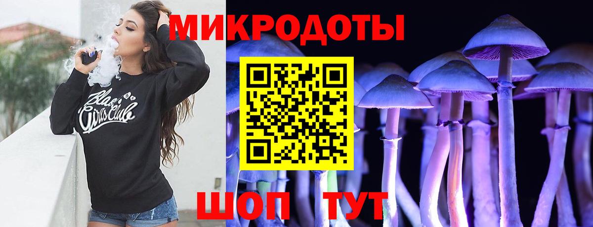 Галлюциногенные грибы Psilocybe  Вход с VPN  Березники 